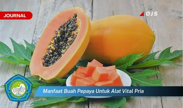 manfaat buah pepaya untuk alat vital pria manfaat buah pepaya untuk alat vital pria
