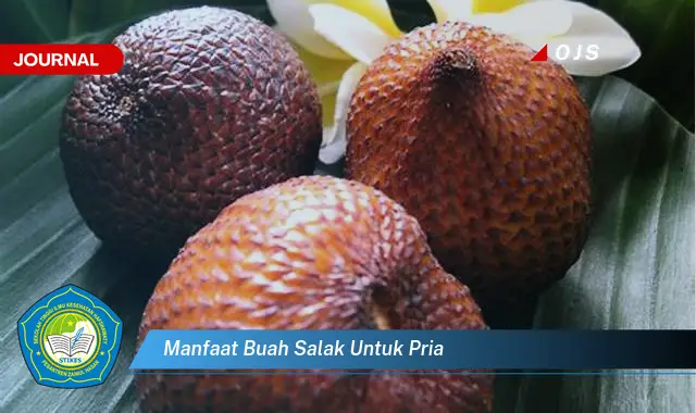 manfaat buah salak untuk pria