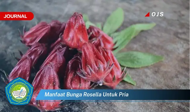 manfaat bunga rosella untuk pria