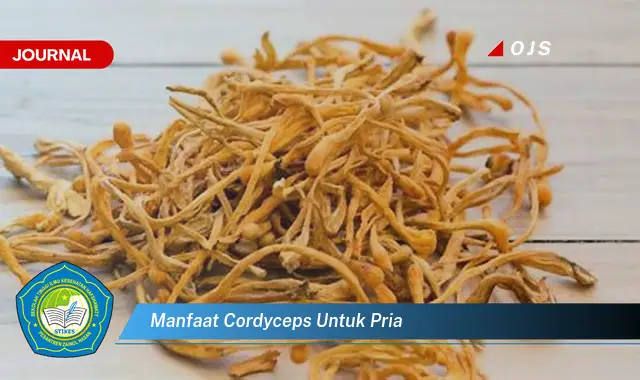 manfaat cordyceps untuk pria