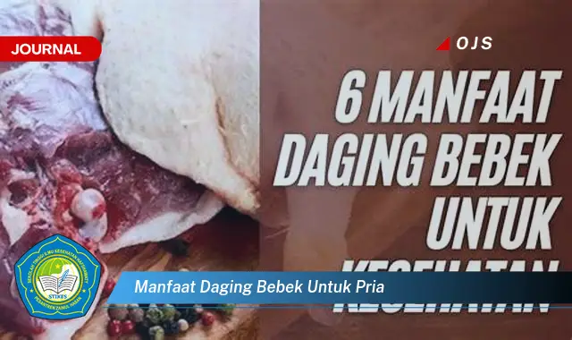 manfaat daging bebek untuk pria