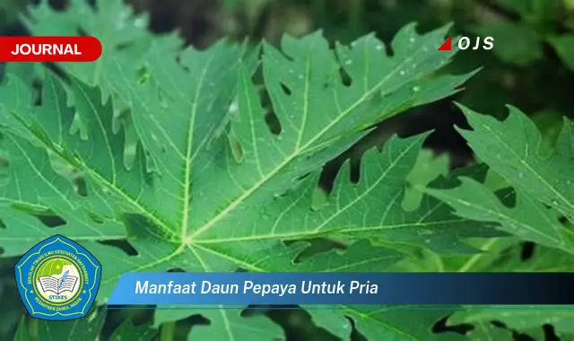 manfaat daun pepaya untuk pria