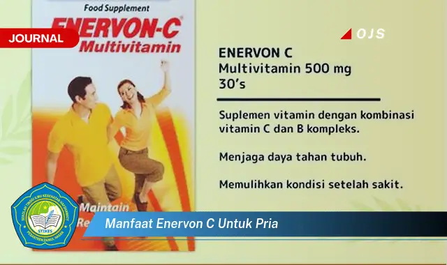 manfaat enervon c untuk pria