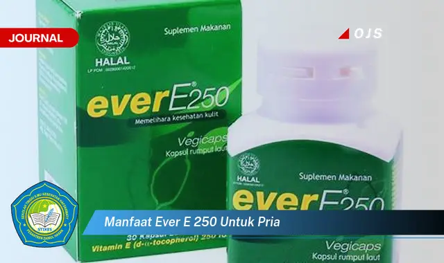 manfaat ever e 250 untuk pria