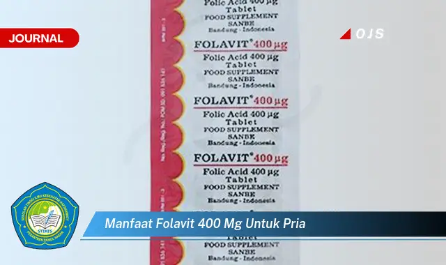 manfaat folavit 400 mg untuk pria manfaat folavit 400 mg untuk pria