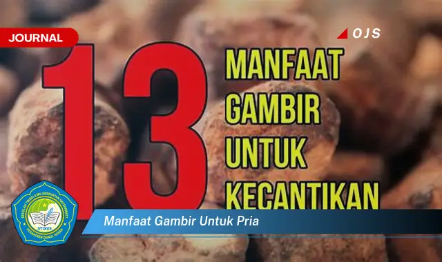 manfaat gambir untuk pria