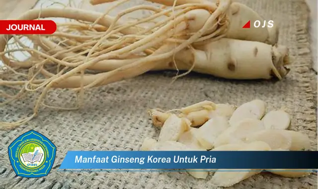 manfaat ginseng korea untuk pria manfaat ginseng korea untuk pria