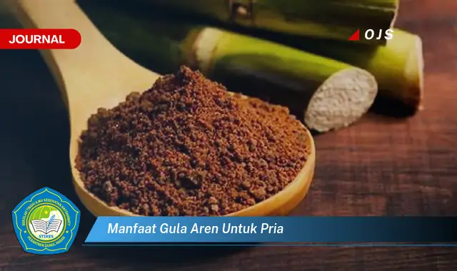 manfaat gula aren untuk pria