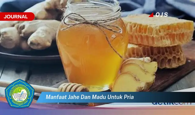 manfaat jahe dan madu untuk pria