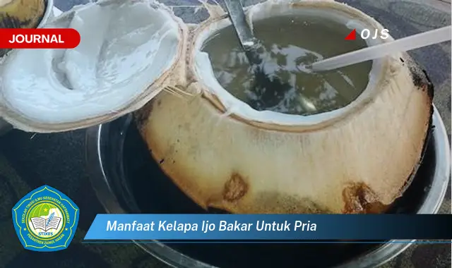 manfaat kelapa ijo bakar untuk pria