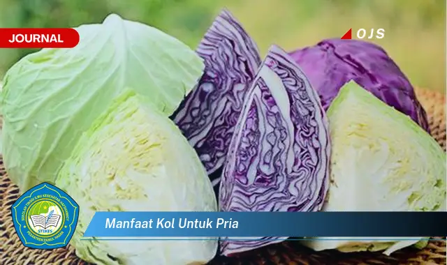 manfaat kol untuk pria manfaat kol untuk pria