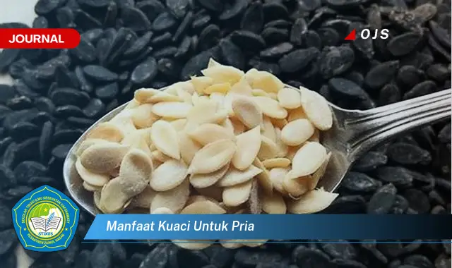 manfaat kuaci untuk pria manfaat kuaci untuk pria