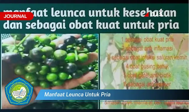 manfaat leunca untuk pria manfaat leunca untuk pria