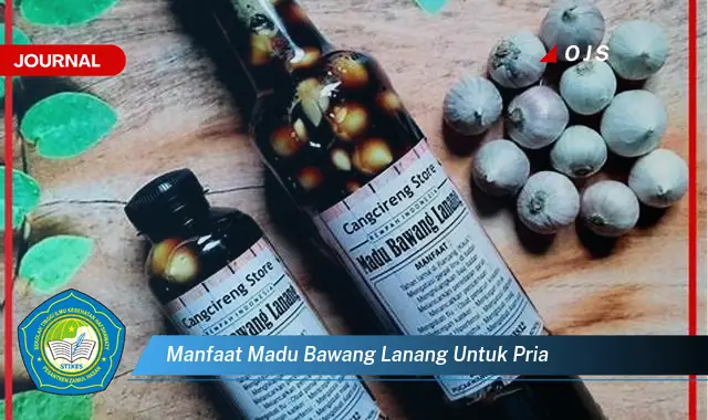 manfaat madu bawang lanang untuk pria