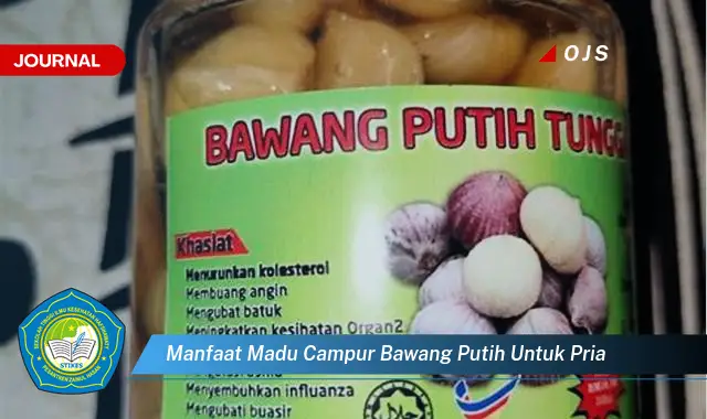 manfaat madu campur bawang putih untuk pria