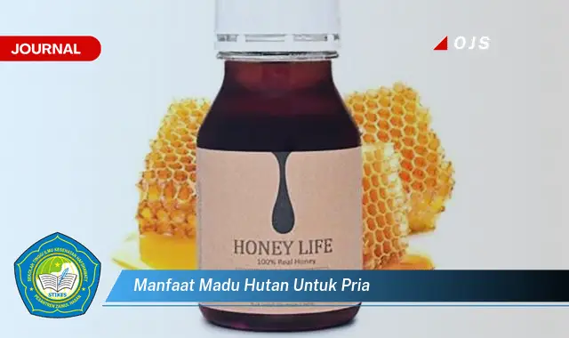 manfaat madu hutan untuk pria