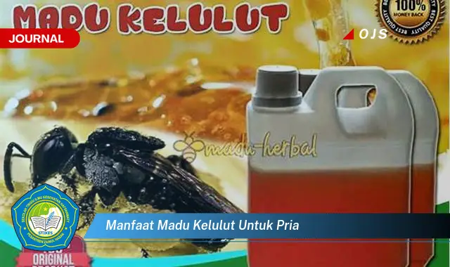manfaat madu kelulut untuk pria