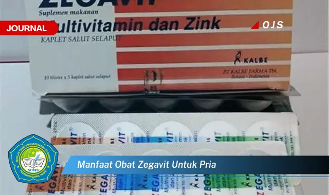manfaat obat zegavit untuk pria manfaat obat zegavit untuk pria