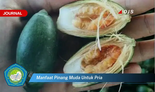 manfaat pinang muda untuk pria