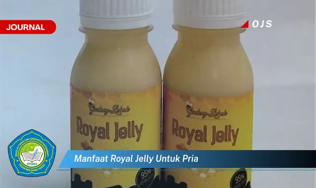 Temukan 6 Manfaat Royal Jelly Untuk Pria yang Bikin Kamu Penasaran - E-Journal