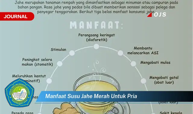 manfaat susu jahe merah untuk pria