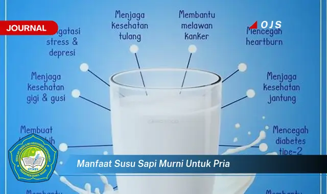 manfaat susu sapi murni untuk pria