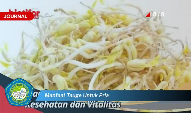 manfaat tauge untuk pria