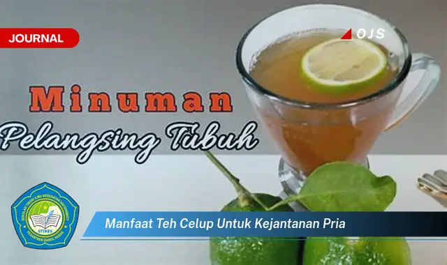 manfaat teh celup untuk kejantanan pria