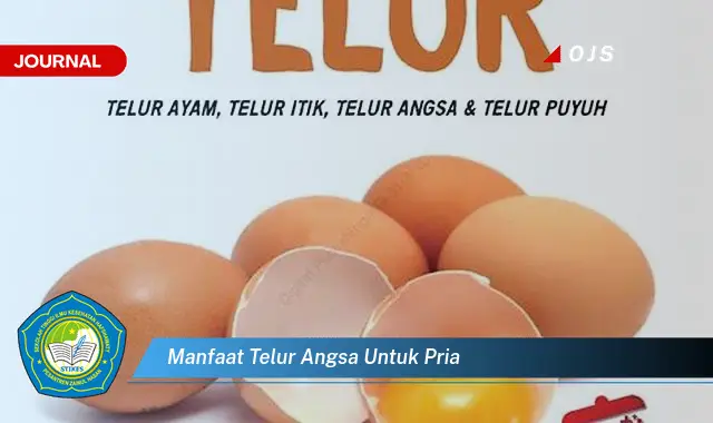 manfaat telur angsa untuk pria manfaat telur angsa untuk pria