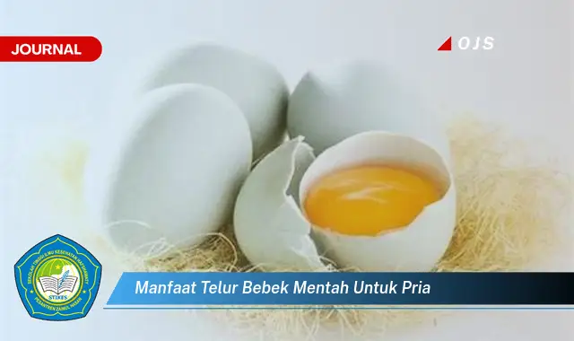 manfaat telur bebek mentah untuk pria