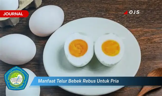 manfaat telur bebek rebus untuk pria