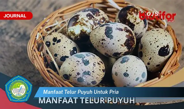 manfaat telur puyuh untuk pria manfaat telur puyuh untuk pria