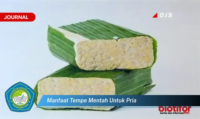 manfaat tempe mentah untuk pria manfaat tempe mentah untuk pria