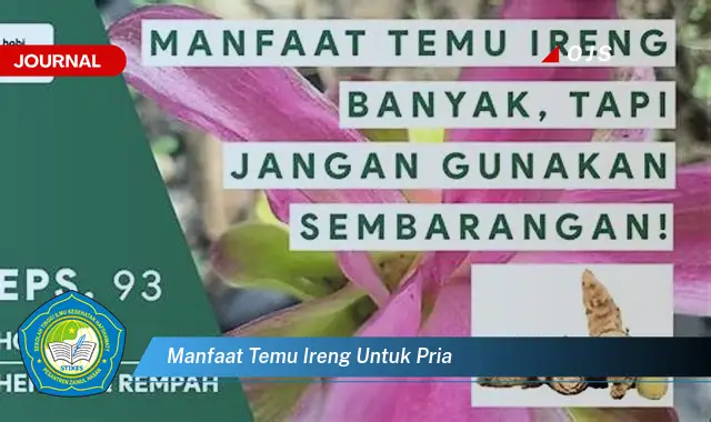 manfaat temu ireng untuk pria