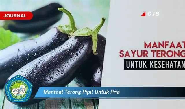 manfaat terong pipit untuk pria manfaat terong pipit untuk pria