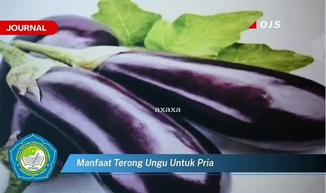 manfaat terong ungu untuk pria