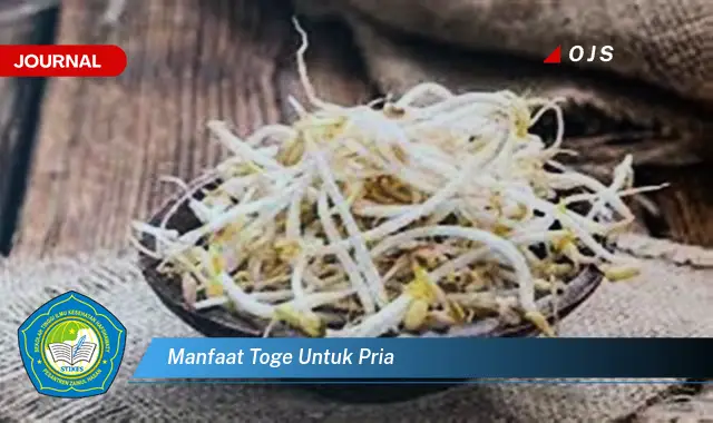 manfaat toge untuk pria manfaat toge untuk pria