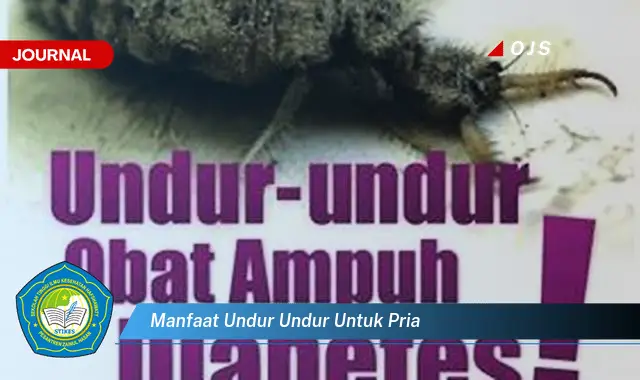 manfaat undur undur untuk pria