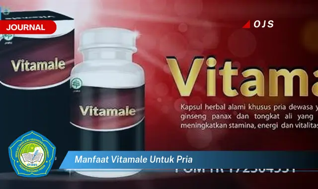 manfaat vitamale untuk pria