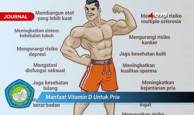 manfaat vitamin d untuk pria