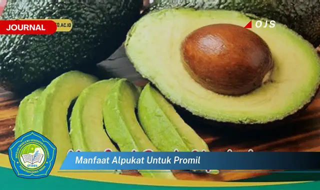 manfaat alpukat untuk promil