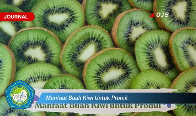 Intip 6 Manfaat Buah Kiwi untuk Promil yang Wajib Kamu Intip - E-Journal