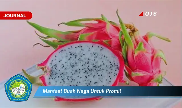 manfaat buah naga untuk promil