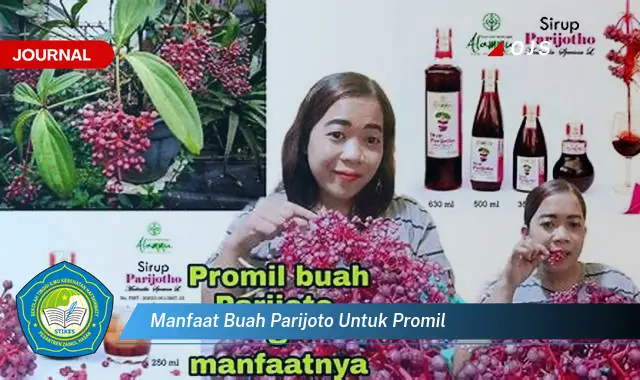 manfaat buah parijoto untuk promil