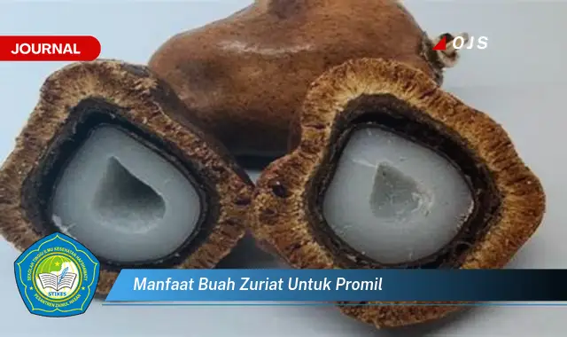 manfaat buah zuriat untuk promil