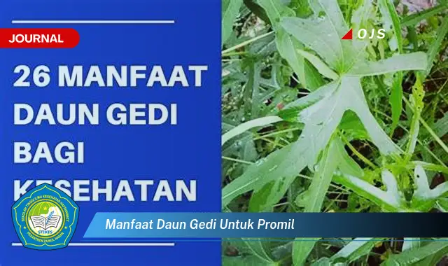 manfaat daun gedi untuk promil manfaat daun gedi untuk promil