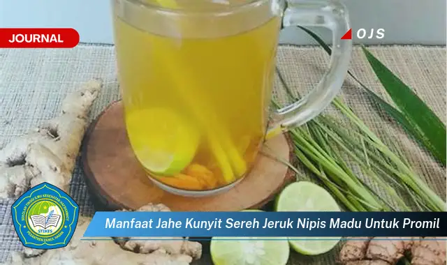 manfaat jahe kunyit sereh jeruk nipis madu untuk promil