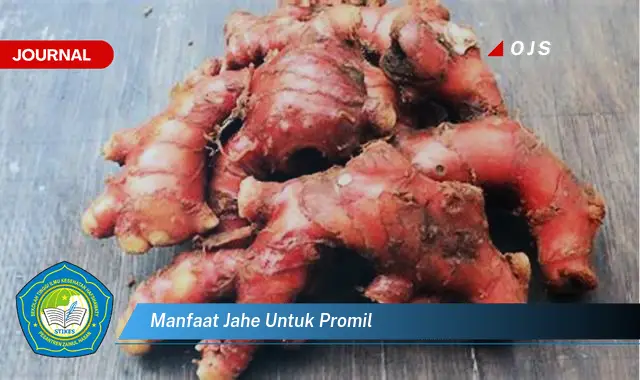 manfaat jahe untuk promil