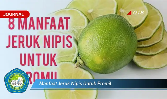 manfaat jeruk nipis untuk promil