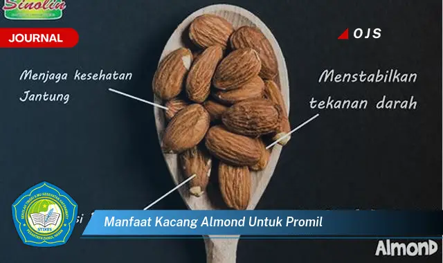 manfaat kacang almond untuk promil